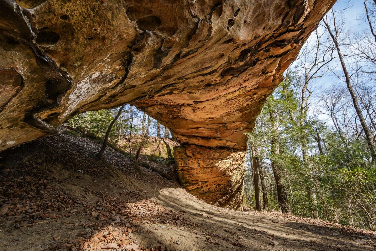 Arch Hunting