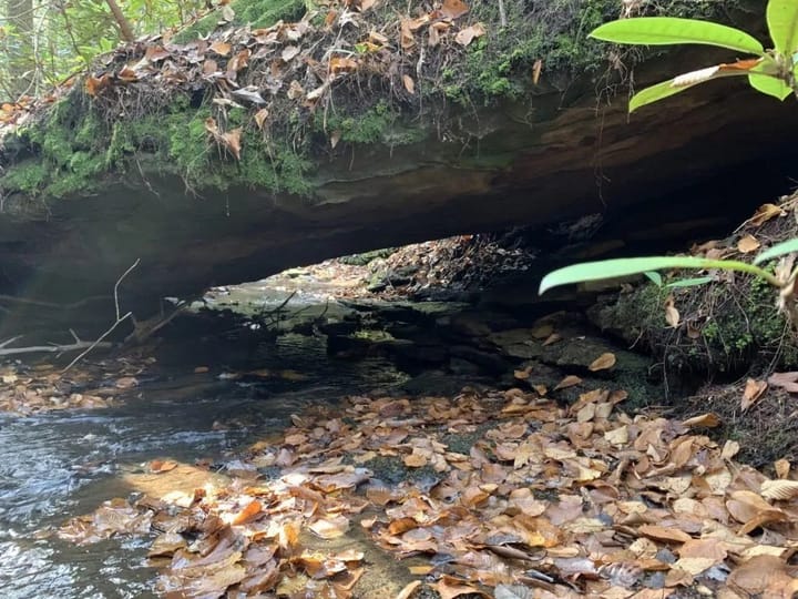 Hunting Natural Bridges In The Daniel Boone National Forest